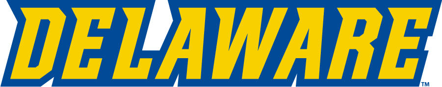 Delaware Blue Hens 2016-2018 Wordmark Logo diy iron on heat transfer